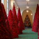 Illustration for article titled A Man Coughed Up Melanias Christmas Tree
